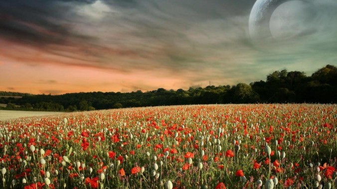 为什么程序员的电脑永远没有弹窗广告？